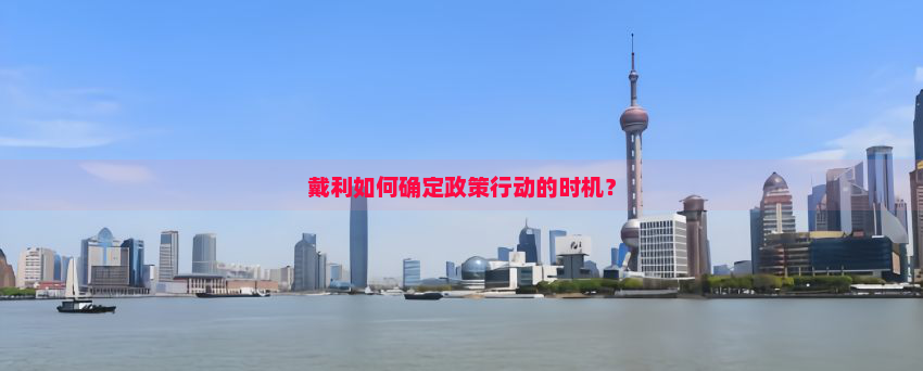 戴利如何确定政策行动的时机？